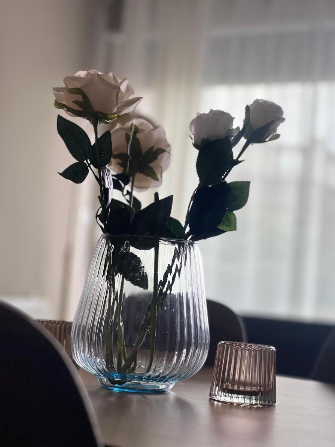 Alma Rose Apartment Korce Extérieur photo