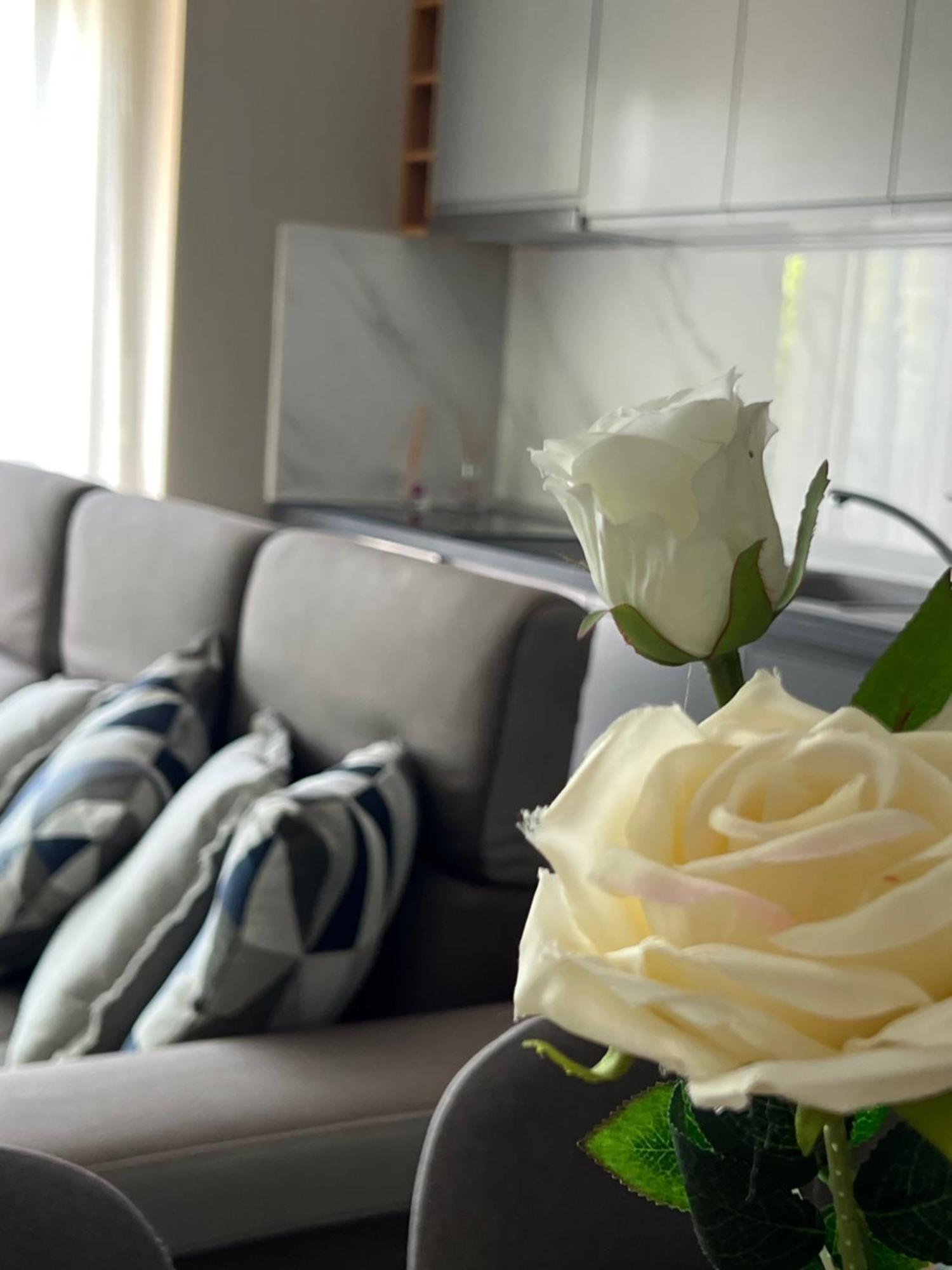 Alma Rose Apartment Korce Extérieur photo